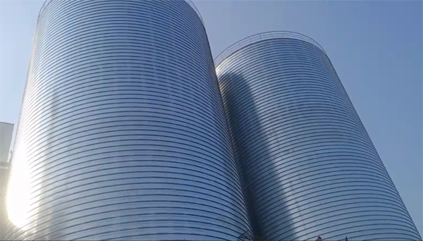 淮滨2座混凝土高架卷板仓